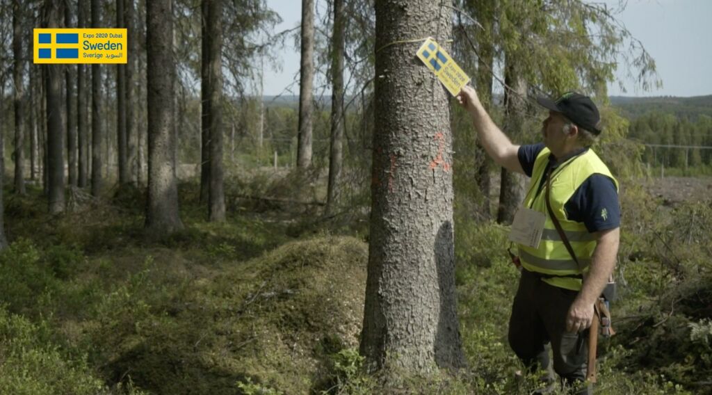 Rundvirke levererar träpelare till Världsutställningen i Dubai