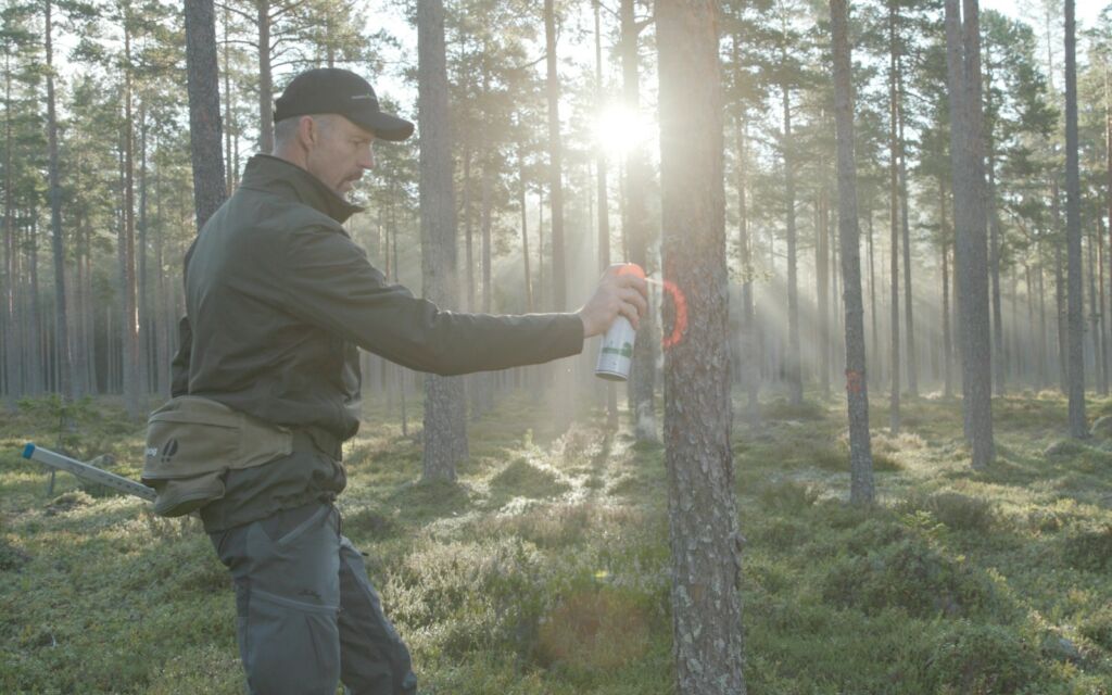 Sustainable octagonal posts from pine forests in the heart of Sweden