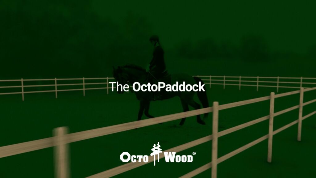 The OctoPaddock: a functional paddock with exceptional sustainability
